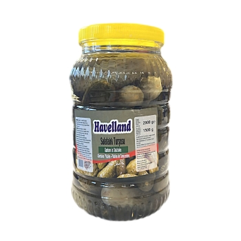 Havelland Gurken in Salzlake 3000g